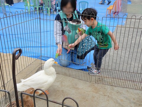 あひるさん