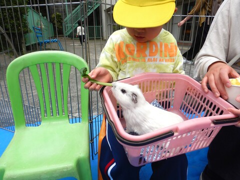 ご飯を食べてくれる姿が可愛かったね💕