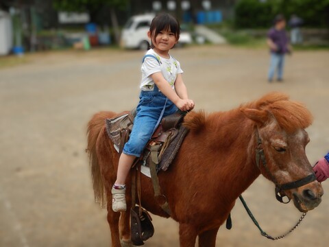 第２グラウンドではポニーの乗馬体験をしました🐎