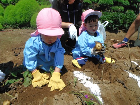 小さなおててで頑張って掘ったね😊