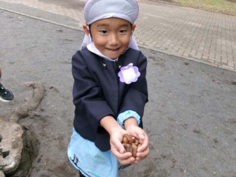 沢山見つけたよ😊