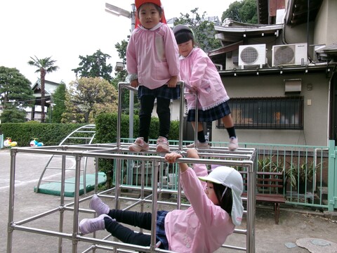 高いところが人気だね⭐